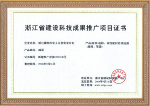 Project certificate